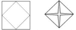 Figure 3 fold