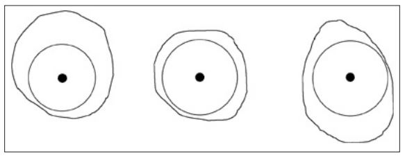 Three dots appear on large white space. Around these dots are circles that different student have drawn.