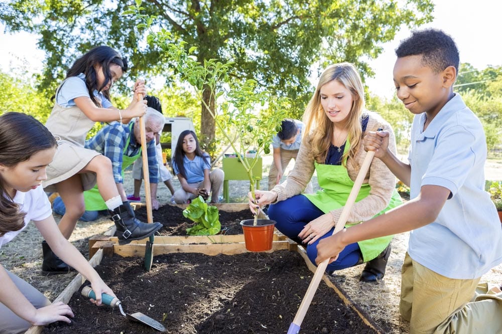 Diverse group of elementary school students are digging in soil in vegetable garden, and planting plants. Students are learning about plant life during field trip at farm. They are wearing school uniforms and using gardening tools.