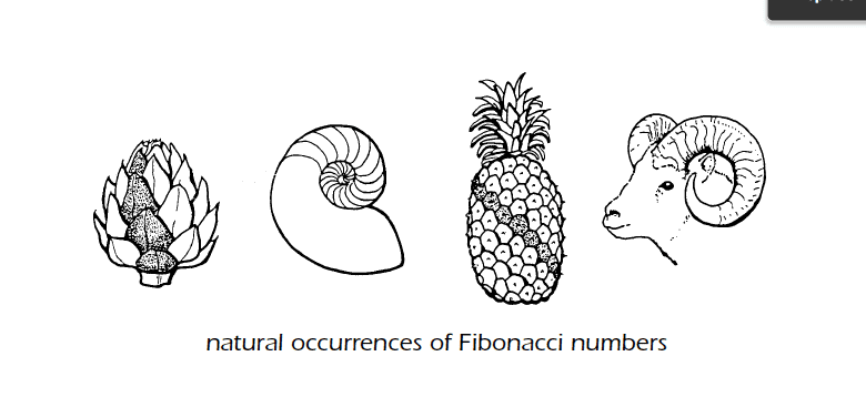 fibonacci numbers in nature, Math Matters by Suzanne H. Chapin and Art John...